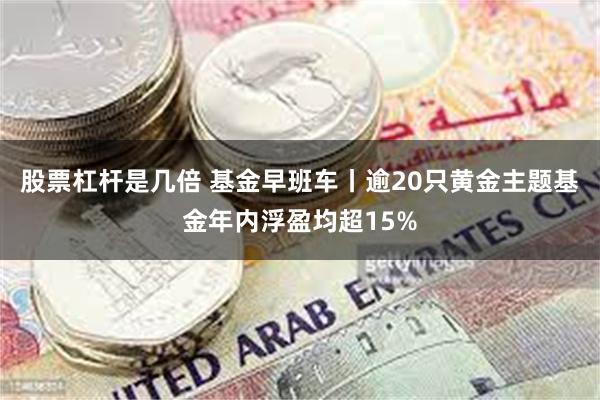 股票杠杆是几倍 基金早班车丨逾20只黄金主题基金年内浮盈均超15%