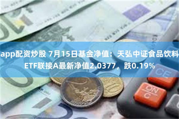 app配资炒股 7月15日基金净值：天弘中证食品饮料ETF联接A最新净值2.0377，跌0.19%