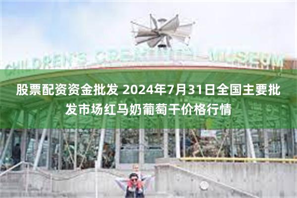 股票配资资金批发 2024年7月31日全国主要批发市场红马奶葡萄干价格行情