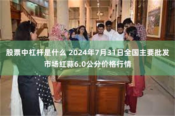 股票中杠杆是什么 2024年7月31日全国主要批发市场红蒜6.0公分价格行情