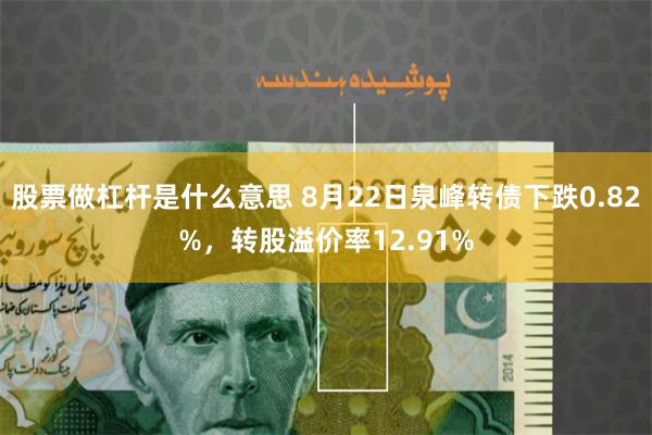 股票做杠杆是什么意思 8月22日泉峰转债下跌0.82%，转股溢价率12.91%