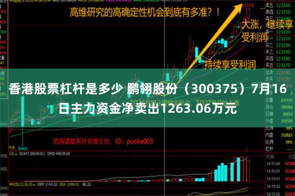 香港股票杠杆是多少 鹏翎股份（300375）7月16日主力资金净卖出1263.06万元