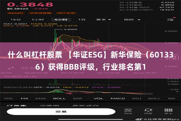 什么叫杠杆股票 【华证ESG】新华保险（601336）获得BBB评级，行业排名第1