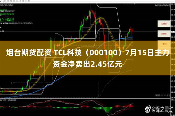 烟台期货配资 TCL科技（000100）7月15日主力资金净卖出2.45亿元