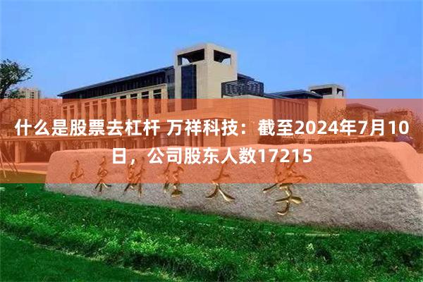 什么是股票去杠杆 万祥科技：截至2024年7月10日，公司股东人数17215