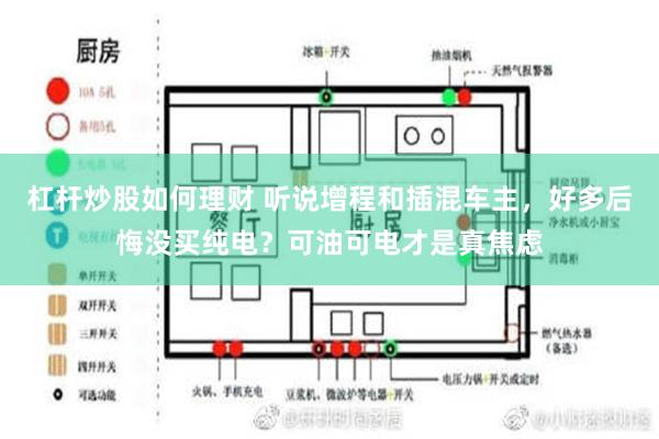 杠杆炒股如何理财 听说增程和插混车主，好多后悔没买纯电？可油可电才是真焦虑