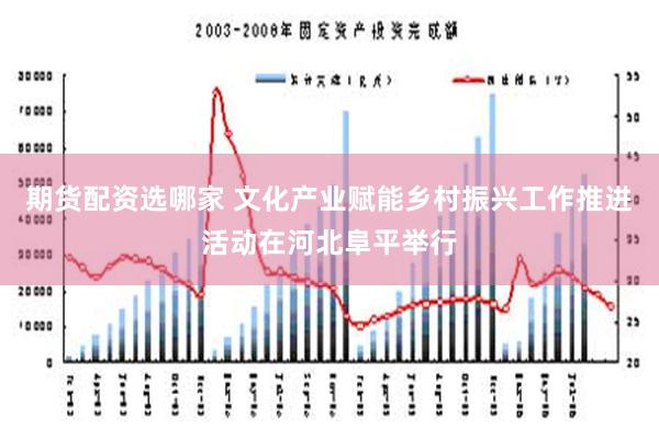 期货配资选哪家 文化产业赋能乡村振兴工作推进活动在河北阜平举行