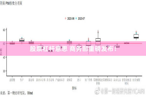 股票杠杆意思 商务部重磅发布！