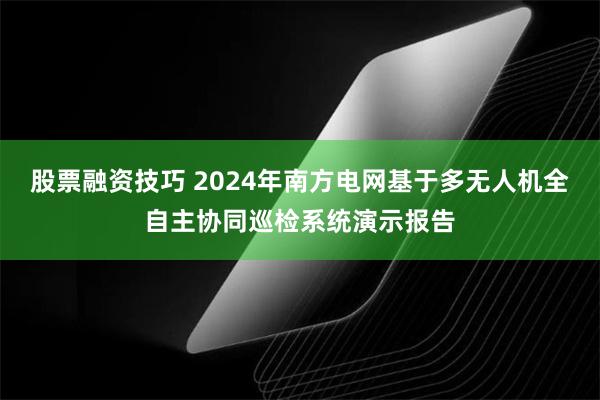 股票融资技巧 2024年南方电网基于多无人机全自主协同巡检系统演示报告