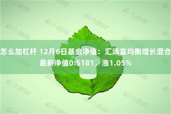 怎么加杠杆 12月6日基金净值：汇添富均衡增长混合最新净值0.5181，涨1.05%